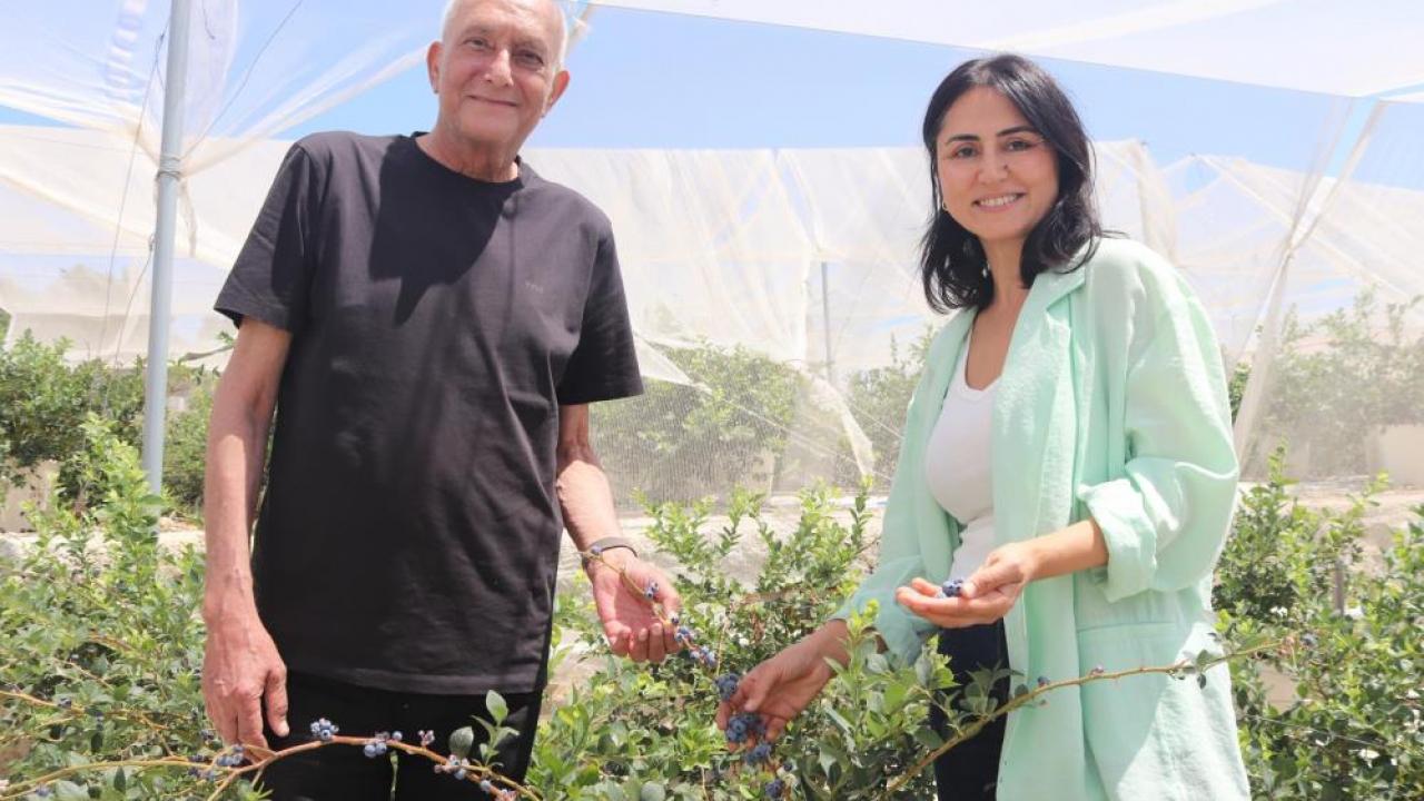 Sehir hayatindan yoruldular topraksiz tarim ureticisi oldular 8vAZnmSJ